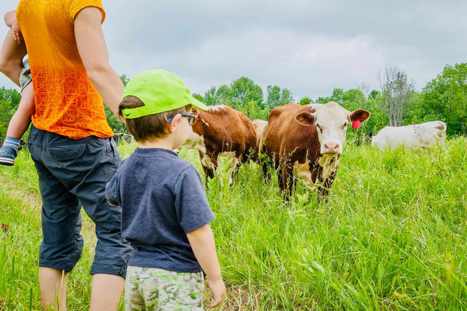 $100 Farm Tour Gift Certificate