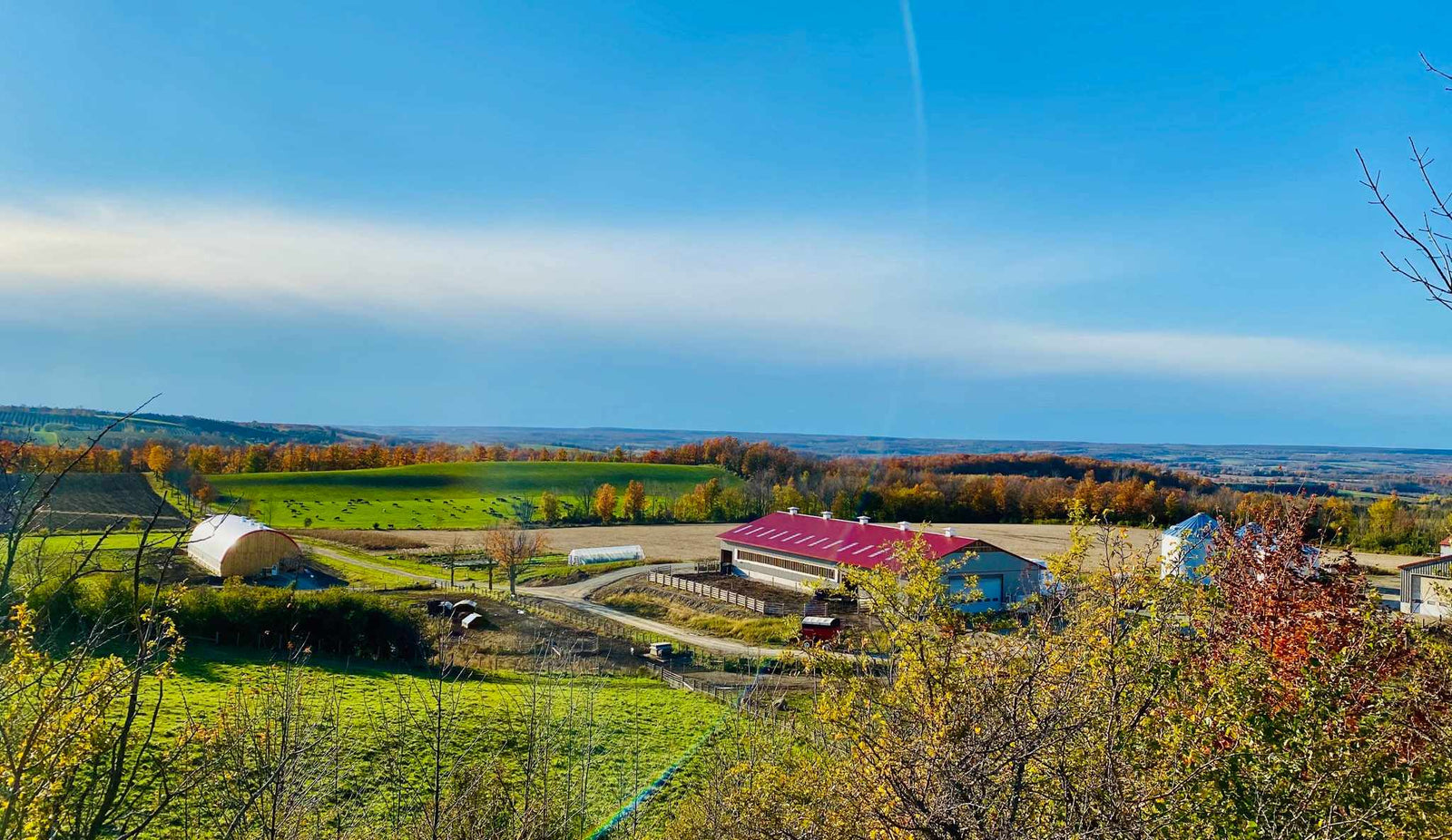 Autumn view across Good Family Farms with red barns and rolling fields